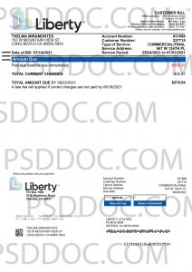 Utility bill PSD